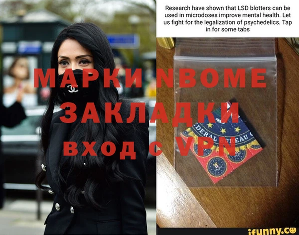 шишки Аркадак