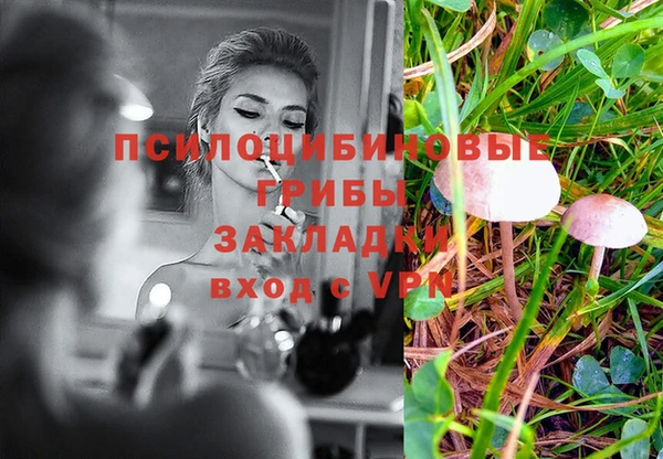 хмурый Армянск