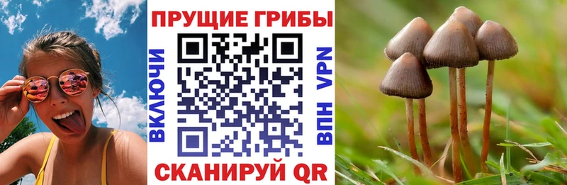 Галлюциногенные грибы Cubensis Аша